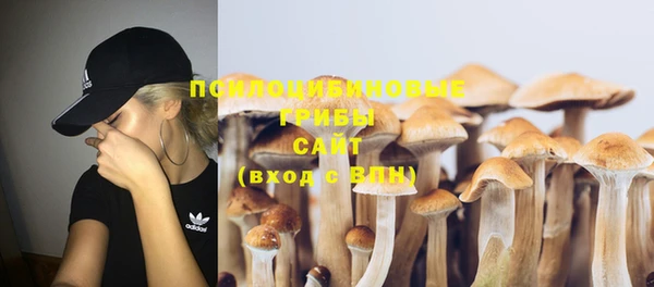 шишки Абдулино
