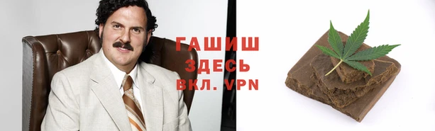 крисы Алексин