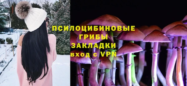 шишки Абдулино