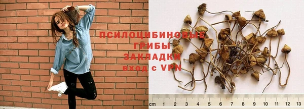 крисы Алексин