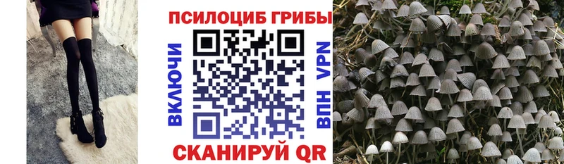 Галлюциногенные грибы MAGIC MUSHROOMS  цена   Десногорск 